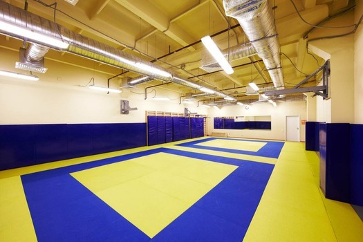 Спортивный комплекс с залов для занятий боевыми искусствами