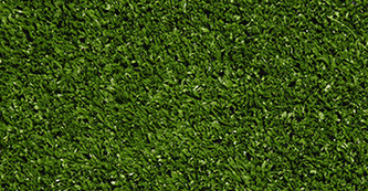 Искусственная трава Evergreen 20