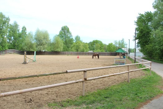 Строительство конно-спортивных ангаров и манежей